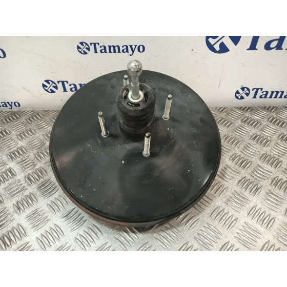 Servofreno para Fiat Ducato Furgon