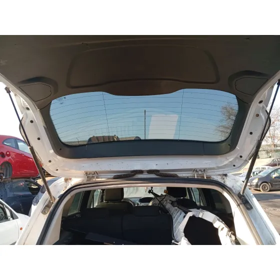 Amortiguadores Maletero / Porton para Ford C-Max