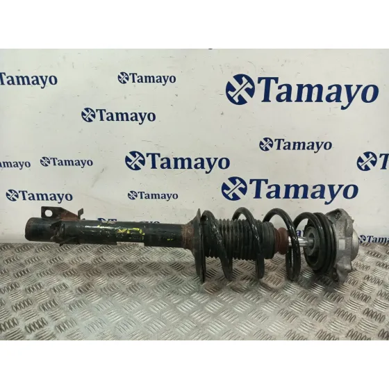 Amortiguador Delantero Izquierdo para Peugeot Boxer Furgon