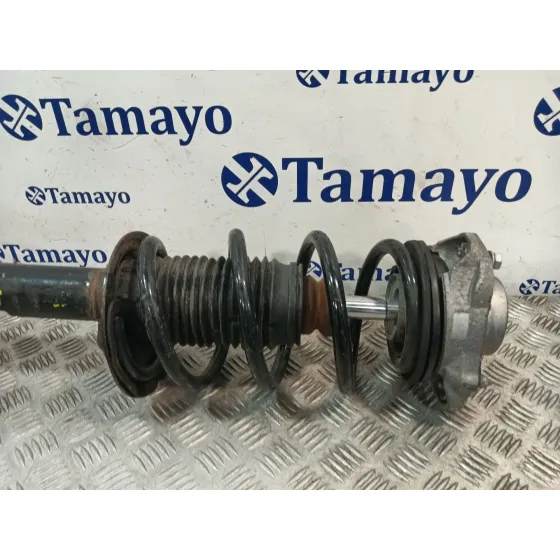 Amortiguador Delantero Izquierdo para Peugeot Boxer Furgon