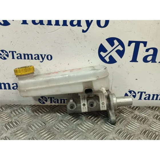 Bomba Freno para Fiat Ducato Furgon