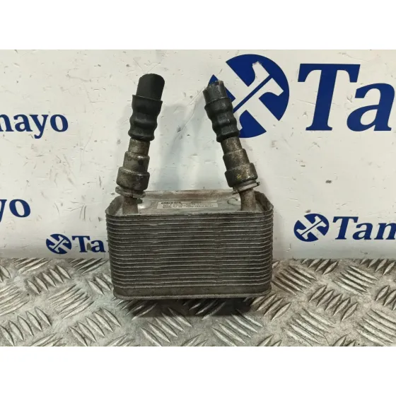 Enfriador Aceite Motor para Bmw X5 (E53)