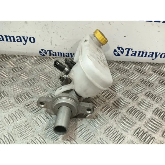 Bomba Freno para Fiat Ducato Furgon