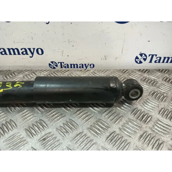 Amortiguador Trasero para Citroën Jumper Iii Furgoneta