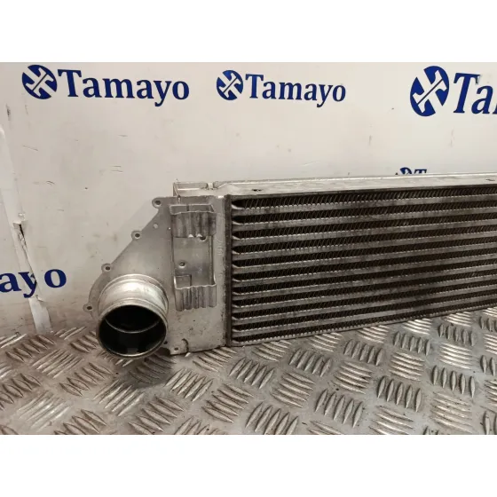 Intercooler para Renault Scenic Ii (Jm0/1_)