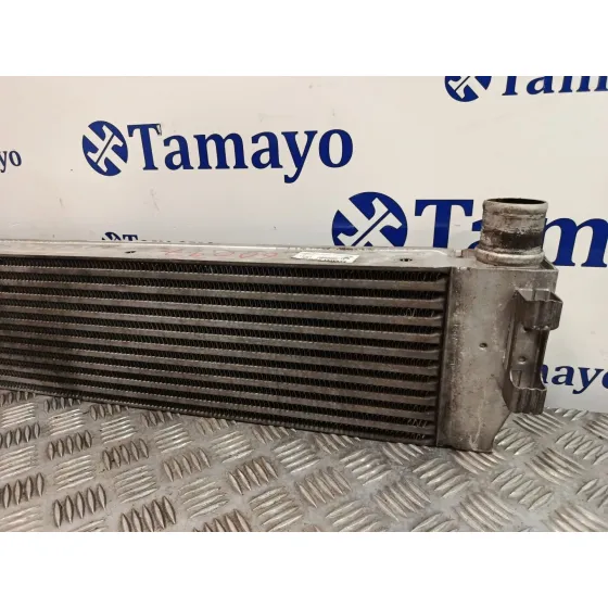 Intercooler para Renault Scenic Ii (Jm0/1_)
