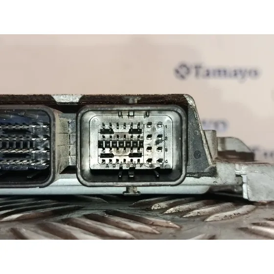 Centralita Motor Uce para Nissan Qashqai I (J10, Nj10)