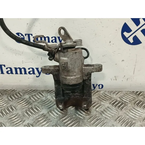 Pinza Freno Trasera Izquierda para Seat Leon (1P1)