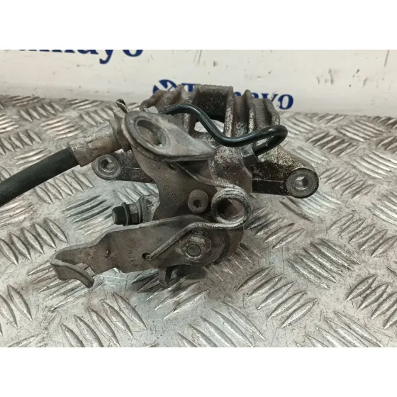 Pinza Freno Trasera Izquierda para Seat Leon (1P1)