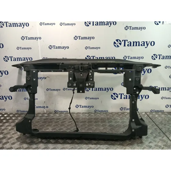 Panel Frontal para Volkswagen Passat B7 Variant (365)