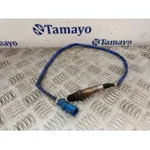 Sonda Lambda para Ford C-Max Ii (Dxa/Cb7, Dxa/Ceu)