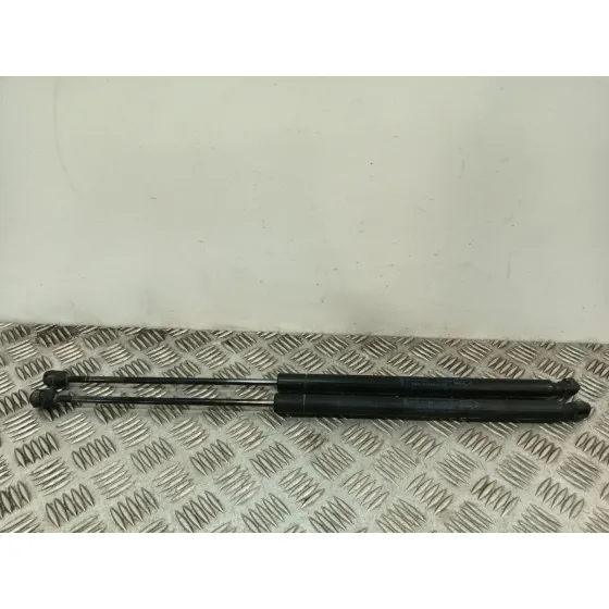 Amortiguadores Maletero / Porton para Ford S-Max (Wa6)