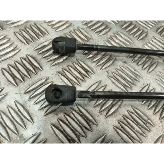 Amortiguadores Maletero / Porton para Ford S-Max (Wa6)