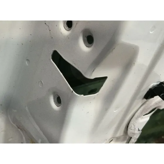 Puerta Delantera Izquierda para Ford Transit Connect V408 Furgoneta/Monovolumen
