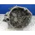 Caja Cambios para Nissan Qashqai I (J10, Nj10)