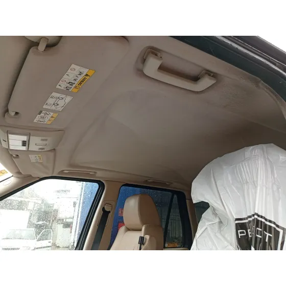 Techo Interior para Land Rover Range Rover Sport I (L320)