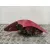 Piloto Trasero Derecho para Peugeot 207/207+ (Wa_, Wc_)