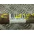 Transmision Delantera Izquierda para Ford Focus C-Max (Dm2)