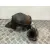 Catalizador / Filtro Particulas para Nissan Qashqai I (J10, Nj10)