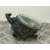 Faro Antiniebla Derecho para Bmw X3 (E83)