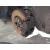 Pinza Freno Delantera Derecha para Seat Toledo Iv (Kg3)
