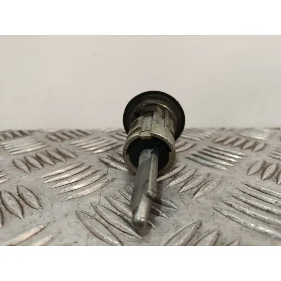 Cerradura Puerta Delantera Izquierda para Ford Transit Connect (P65_, P70_, P80_)