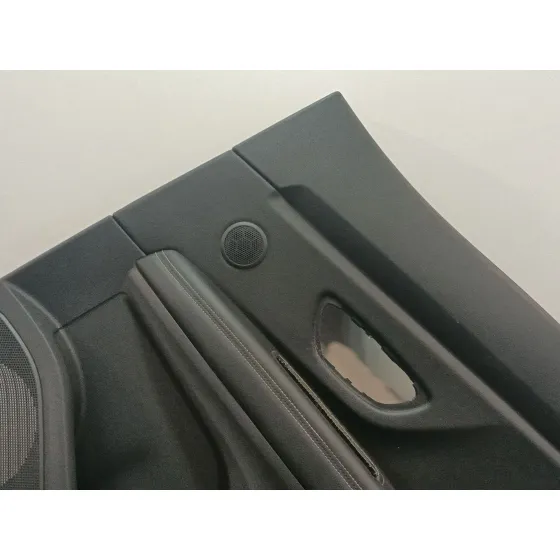 Guarnecido Puerta Trasera Derecha para Renault Scenic Iv (J9_)