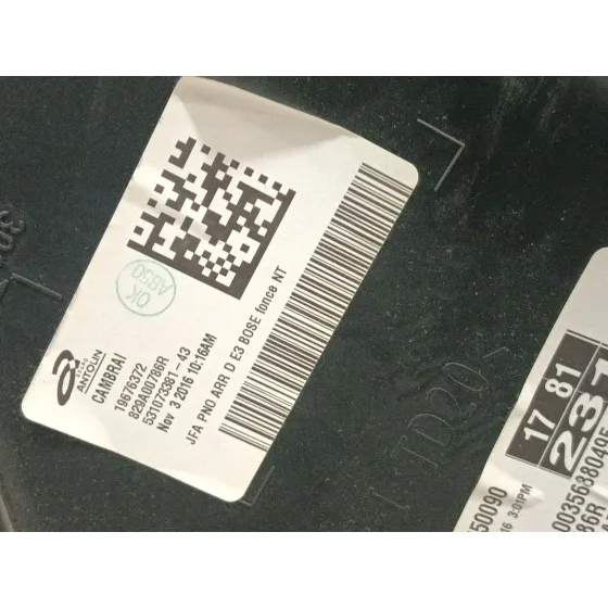 Guarnecido Puerta Trasera Derecha para Renault Scenic Iv (J9_)