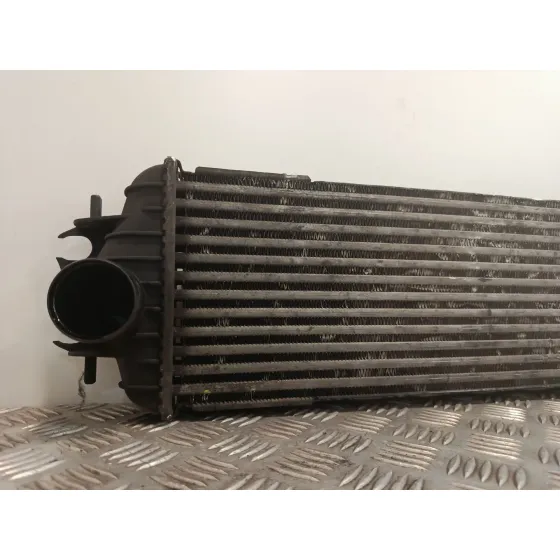 Intercooler para Renault Trafic Ii Furgoneta (Fl)