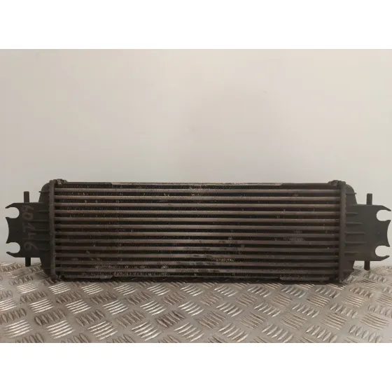 Intercooler para Renault Trafic Ii Furgoneta (Fl)