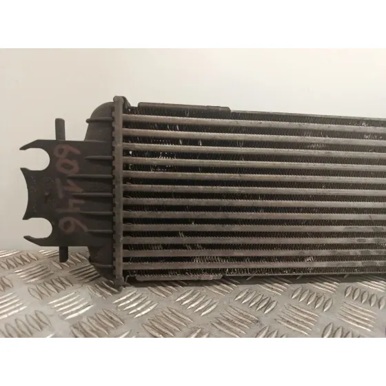 Intercooler para Renault Trafic Ii Furgoneta (Fl)