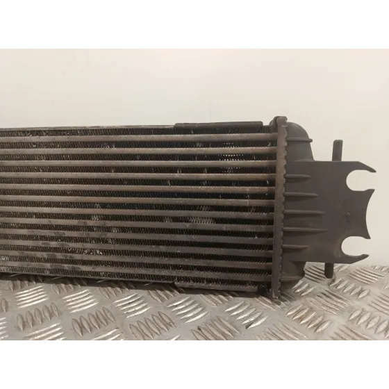 Intercooler para Renault Trafic Ii Furgoneta (Fl)