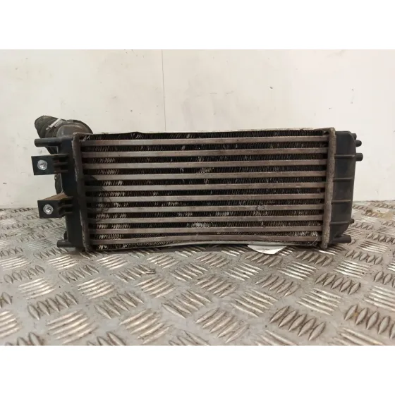 Intercooler para Peugeot Partner Origin Monospace (G_)