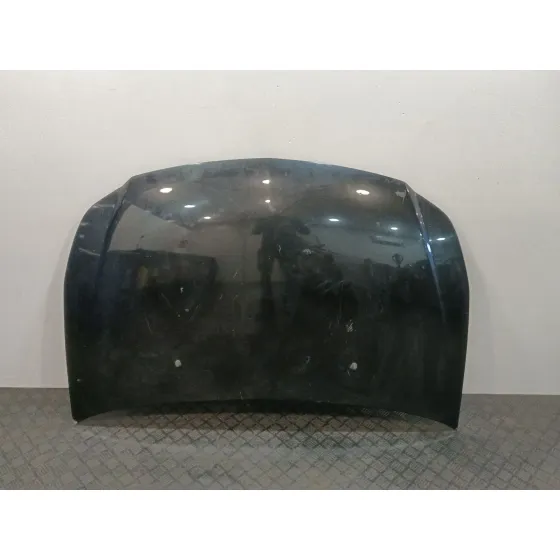 Capot para Fiat Sedici (189_)