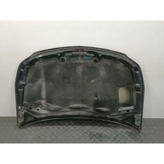 Capot para Fiat Sedici (189_)