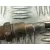 Sonda Lambda para Toyota Yaris (_P13_)