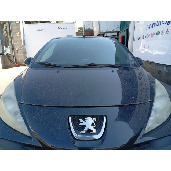 Parabrisas para Peugeot 207 Cc (Wd_)