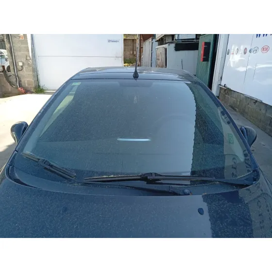 Parabrisas para Peugeot 207 Cc (Wd_)