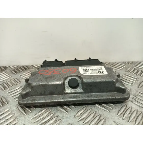 Centralita Motor Uce para Skoda Fabia Ii (542)
