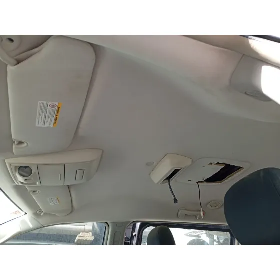 Techo Interior para Chrysler Grand Voyager V (Rt)