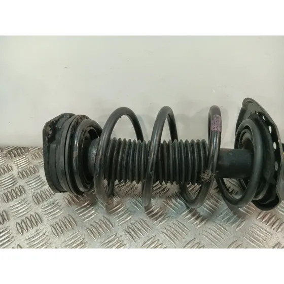 Amortiguador Delantero Izquierdo para Nissan Qashqai I (J10, Nj10)