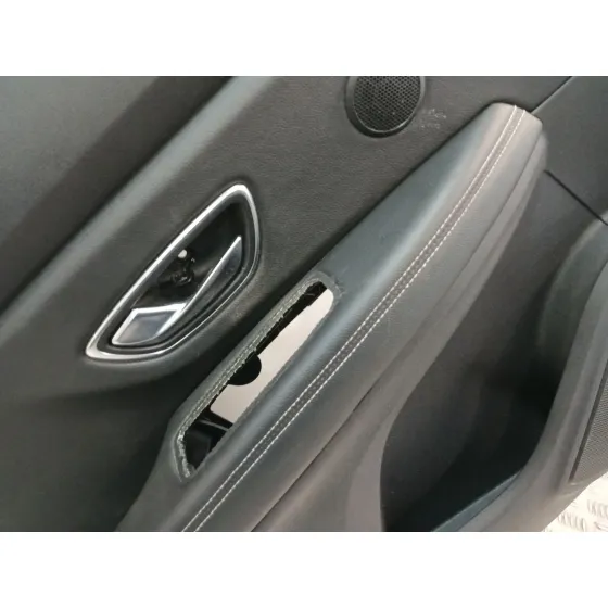 Guarnecido Puerta Trasera Izquierda para Renault Scenic Iv (J9_)