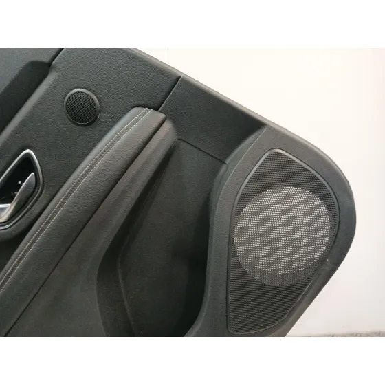 Guarnecido Puerta Trasera Izquierda para Renault Scenic Iv (J9_)