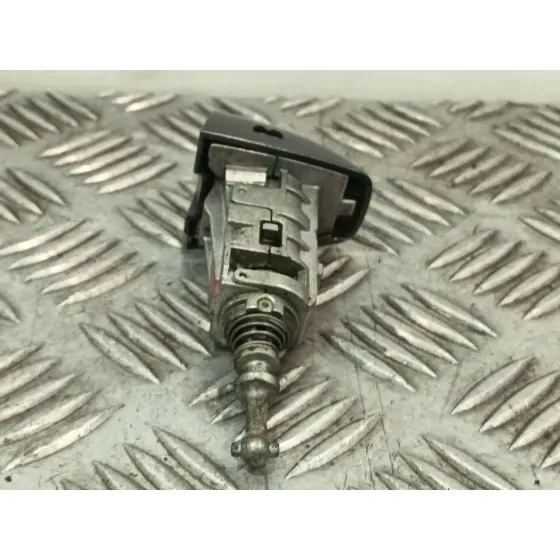 Bombin Puerta Delantera Izquierda para Renault Scenic Iv (J9_)