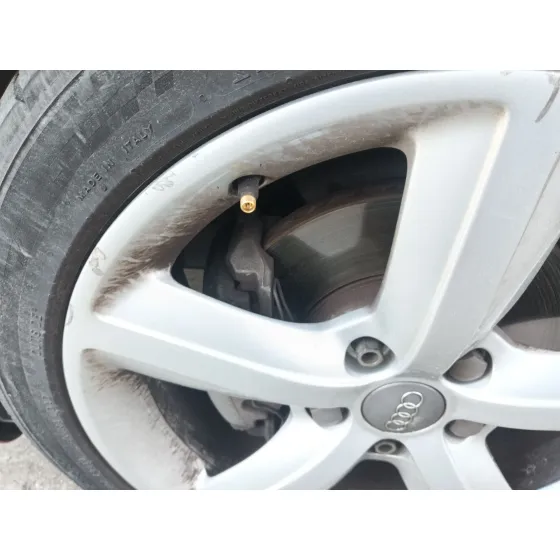 Pinza Freno Delantera Izquierda para Audi A3 Sportback (8Pa)