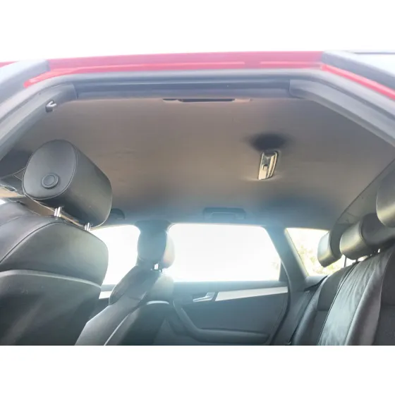 Techo Interior para Audi A3 Sportback (8Pa)