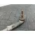 Cremallera Direccion para Ford Tourneo Courier (C4A)