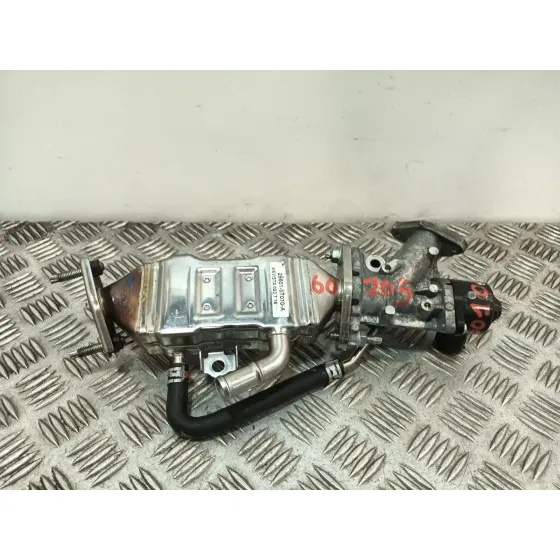Enfriador Egr para Toyota C-Hr (_X1_)