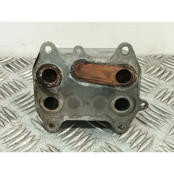 Enfriador Aceite Motor para Seat Ibiza Iv (6J5, 6P1)