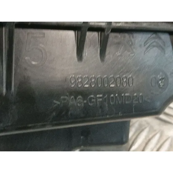 Carcasa Filtro Aire para Citroën C3 Iii (Sx)